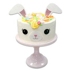 Bunny Face Cake Kit