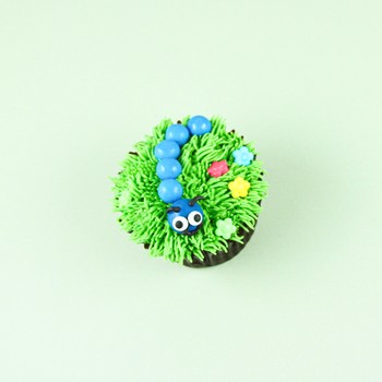 Caterpillar Cupcake