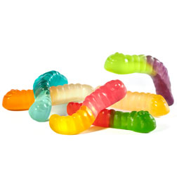 Twelve Flavor Mini Gummi Worms
