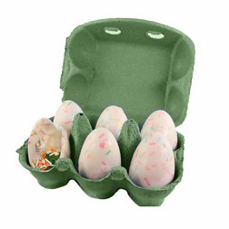 Green 6-Egg Carton