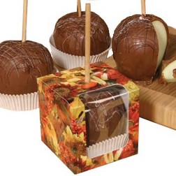 Fall Candy Apple Box with Window