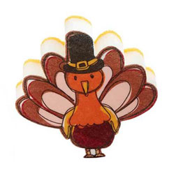 Turkey Thanksgiving Sponge