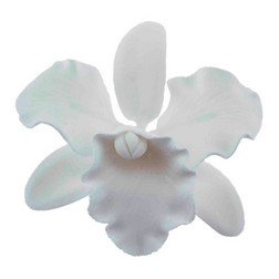 Medium White Cattleya Gum Paste Flower