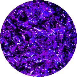 Edible Glitter Flakes- Purple