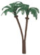 Palm Trees