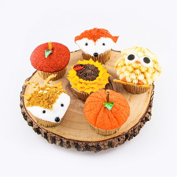 Assorted Fall Cupcakes