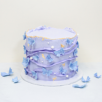 Textured Butterfly Cake