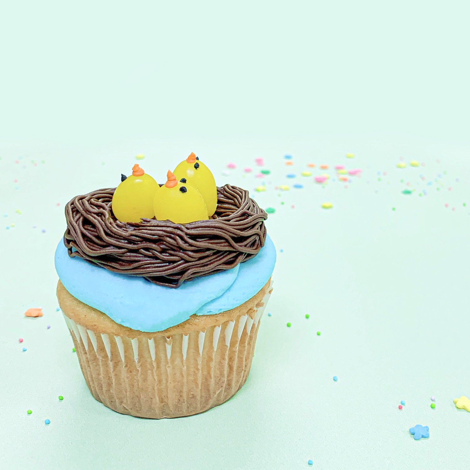 Nest with Birds Cupcake