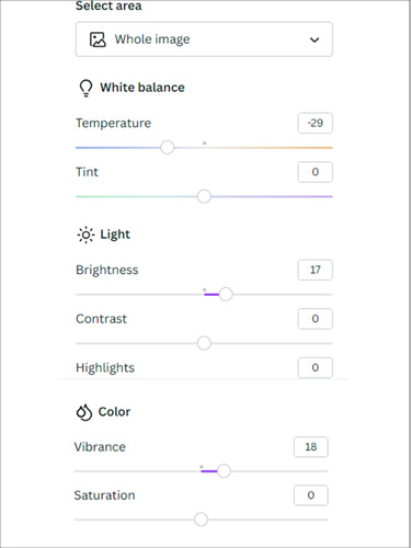 screenshot of canva settings used for fixed photo