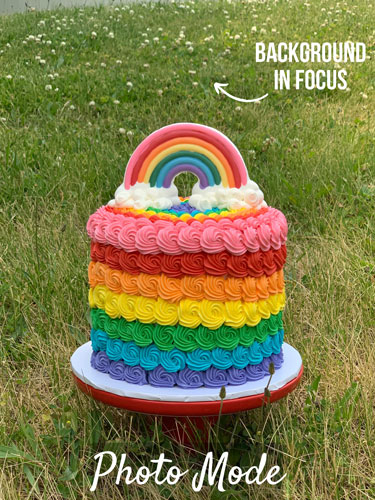 shot of rainbow cake in grass in full focus