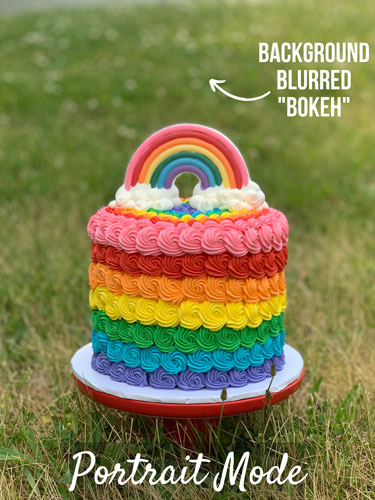 shot of a rainbow cake with blurred grass background