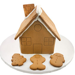 Holiday Cookie Craft Kit - Gingerbread House – Magpies Nashville