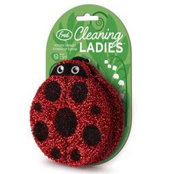 Cleaning Ladies Sponge Set