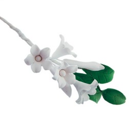 White Gum Paste Asian Stephanotis Filler