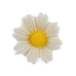 Medium White Gum Paste Daisies