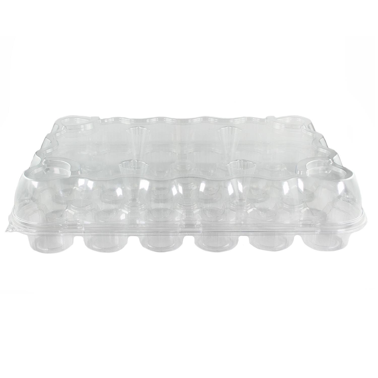 Plastic Container- Holds 24 Standard Size Cupcakes