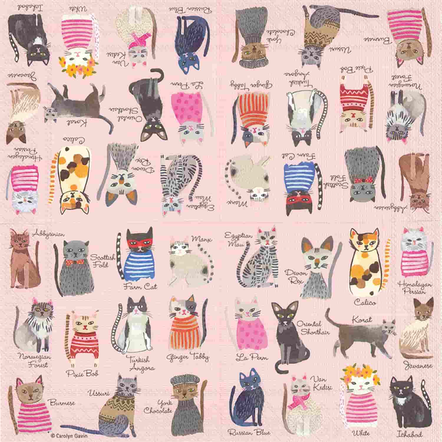 Cool Cats Cocktail Napkins