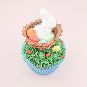 Chocolate Nest Cupcake