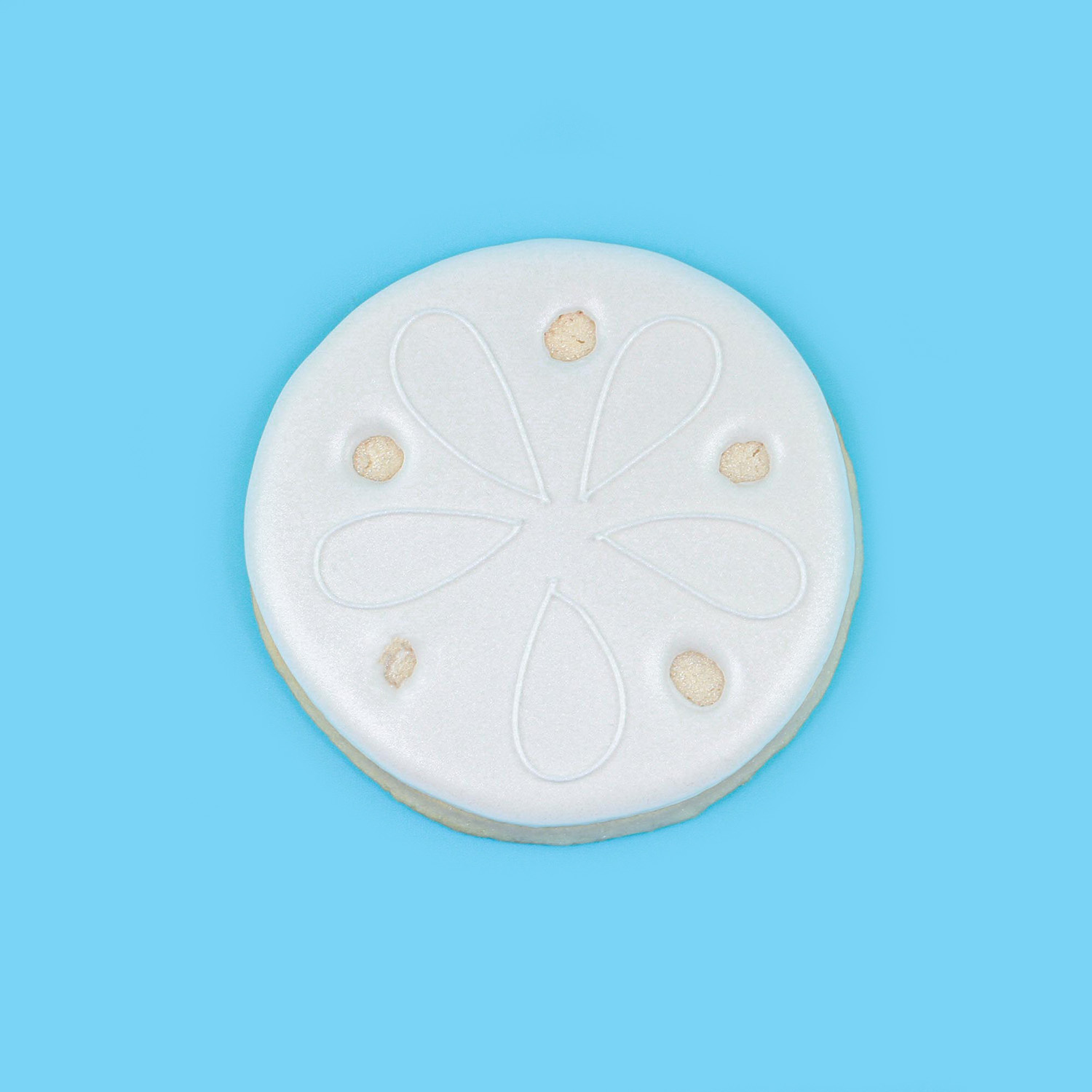 Sand dollar cookie decorated in white royal icing airbrushed in a pearl sheen.