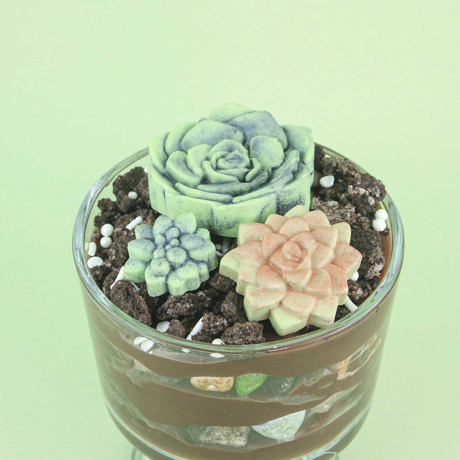 dirt cups layered with chocolate bavarian pastry filling, oreo pieces, candy rocks topped with candy molded succulents.